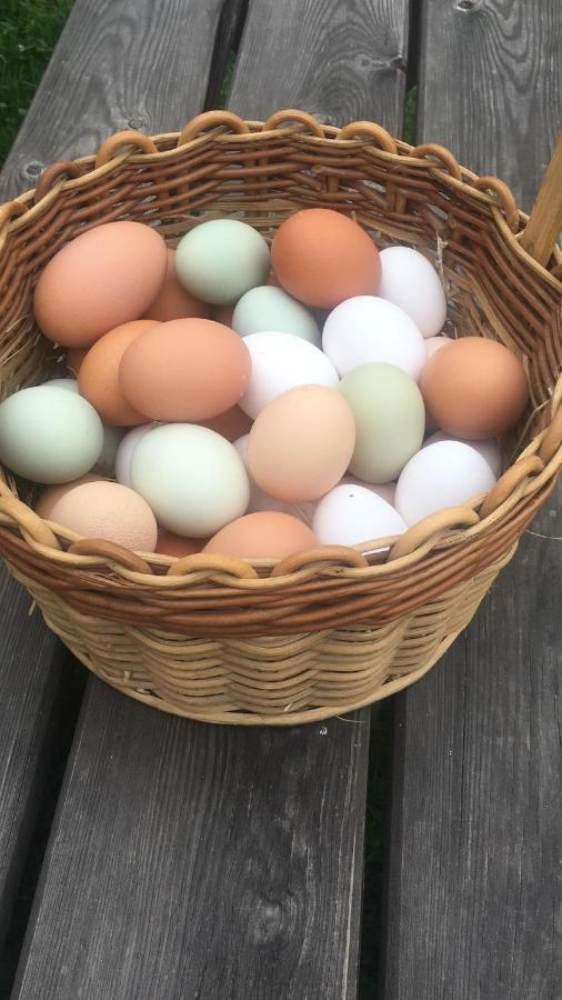 Ferienhof Weber Nieratz Wangen im Allgäu Esterno foto