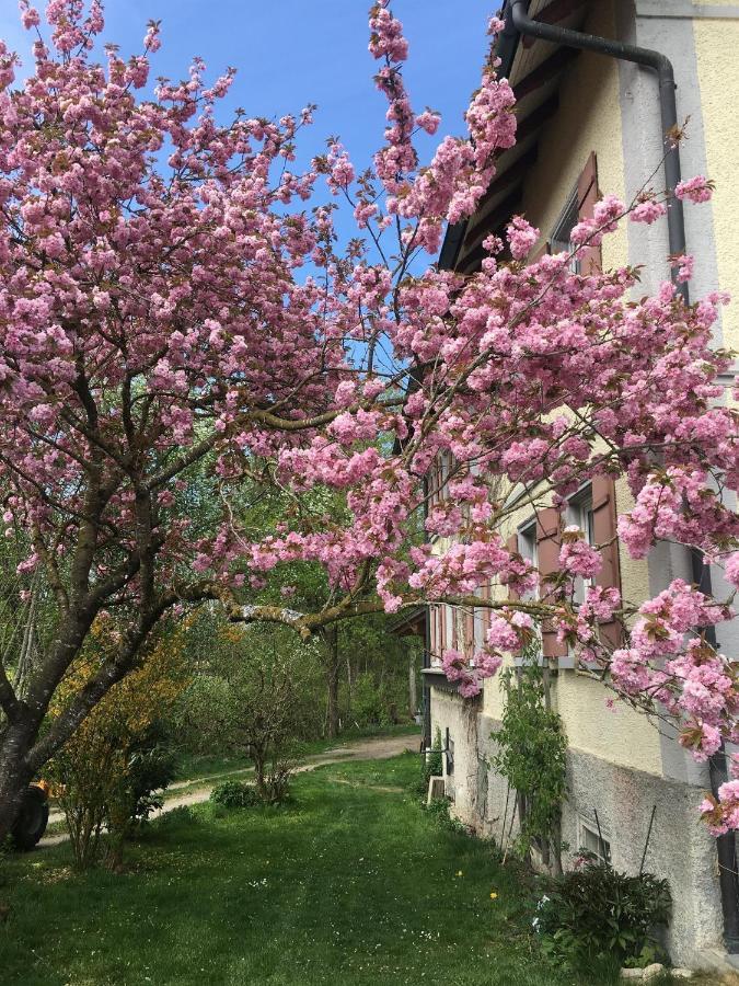 Ferienhof Weber Nieratz Wangen im Allgäu Esterno foto