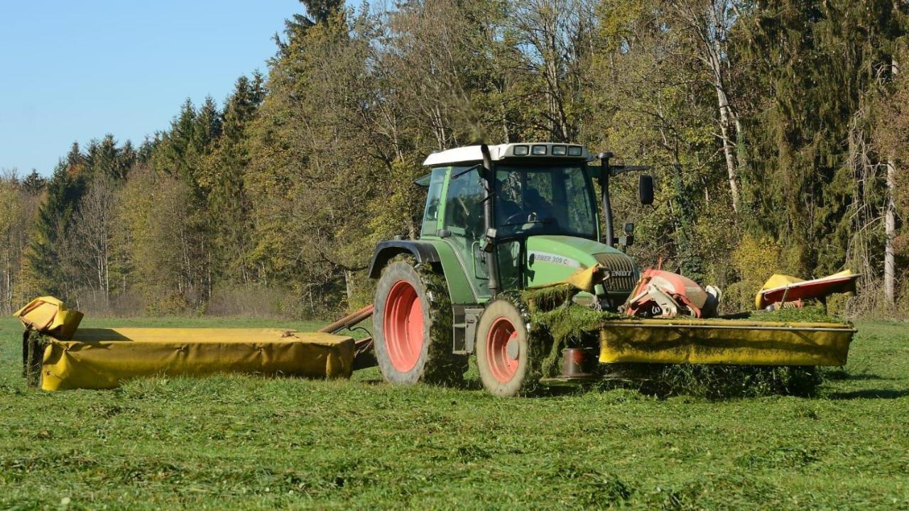 Ferienhof Weber Nieratz Wangen im Allgäu Esterno foto