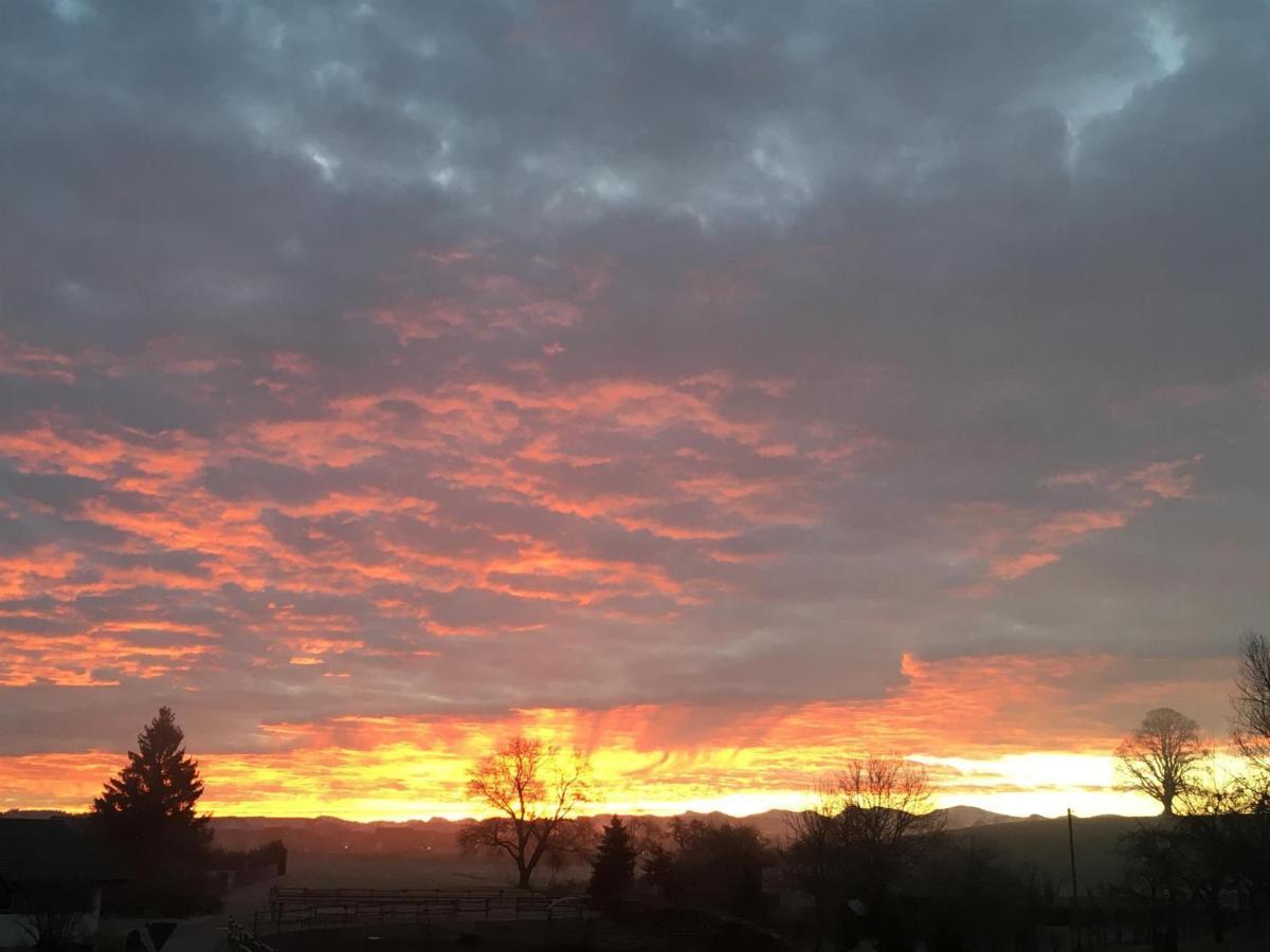 Ferienhof Weber Nieratz Wangen im Allgäu Esterno foto