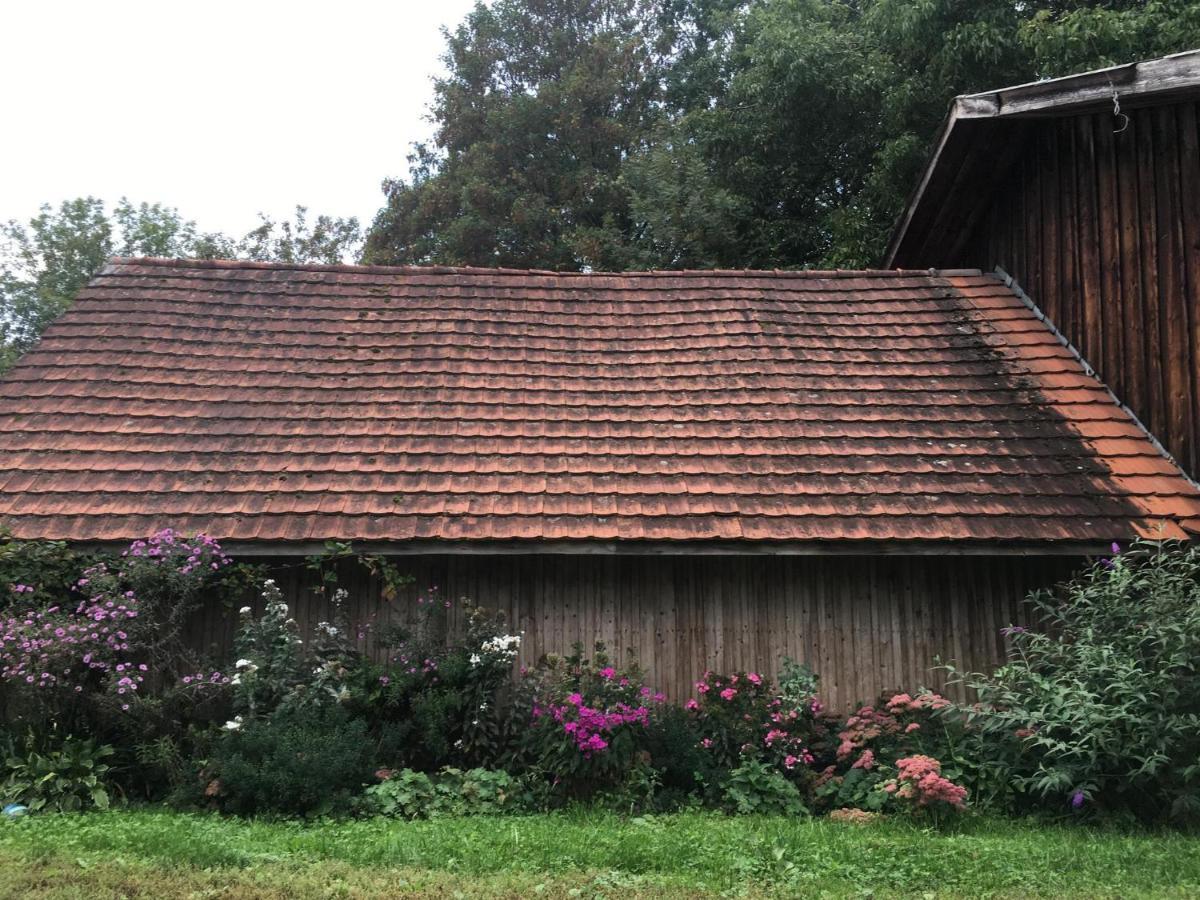Ferienhof Weber Nieratz Wangen im Allgäu Esterno foto