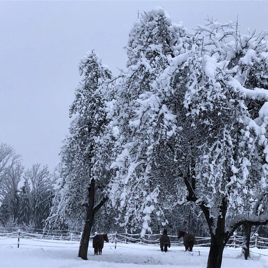 Ferienhof Weber Nieratz Wangen im Allgäu Esterno foto