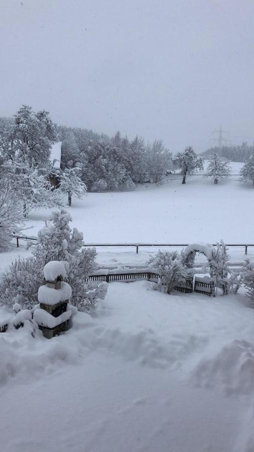 Ferienhof Weber Nieratz Wangen im Allgäu Esterno foto